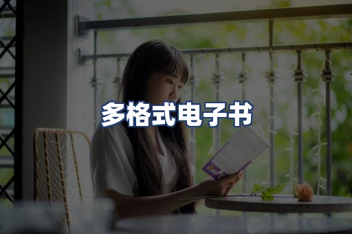 多格式电子书